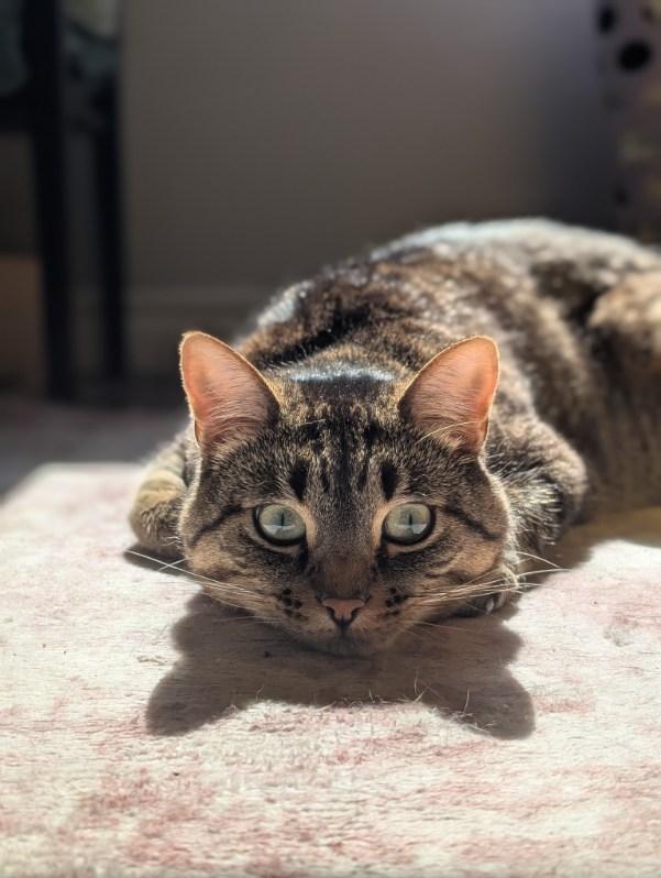 Picture of Mitchell Coovert. He is wearing a white floral dress shirt, and standing in front of a tree of off white flowers. 
